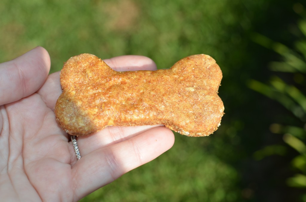 Lucy Cookie