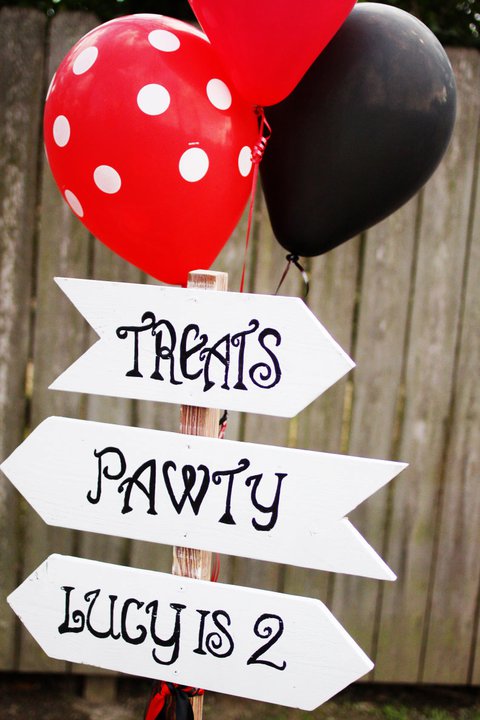 Birthday Party Ideas for Dogs