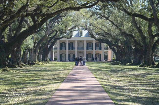Oak Alley Plantation (and a Mint Julep stand!)