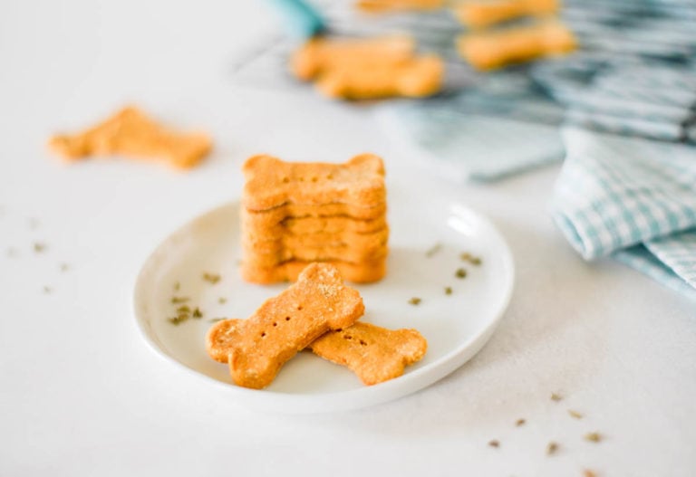Pumpkin and Brown Rice Flour Dog Treats • Aimee's Pretty Palate