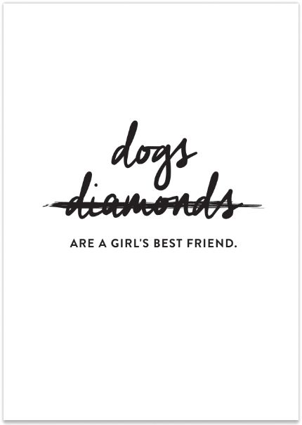 dogs are a girl's best friend