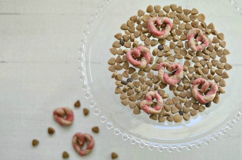 Heart Shaped Valentine’s Day Treats for Dogs