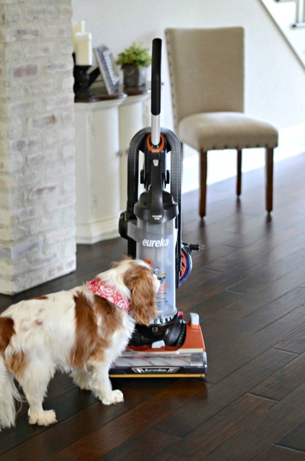 The Best Vacuum for Pet Owners