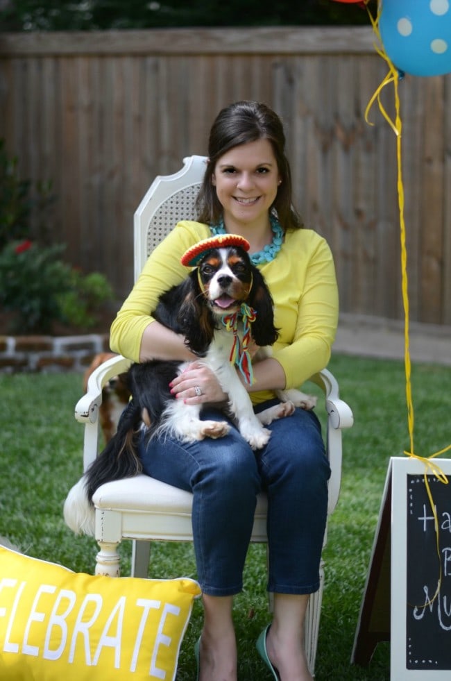 Cavalier King Charles Spaniel Birthday Party by AimeeBroussard.com