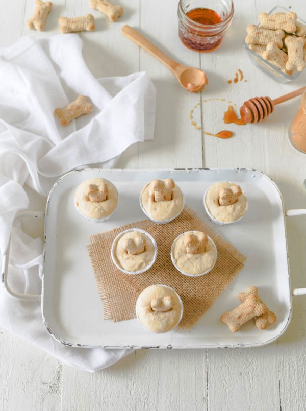 Frozen Yogurt Popsicles for Dogs