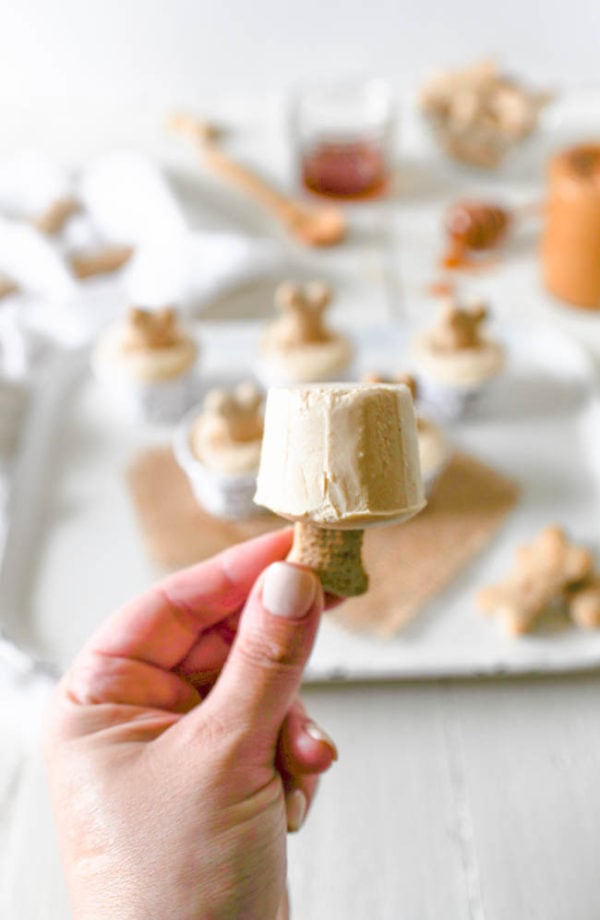 Frozen Yogurt Popsicles for Dogs